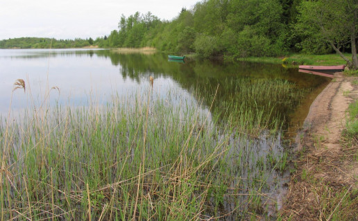 7_Gintaru ilanka (1).jpg